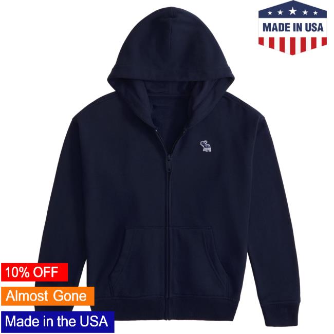 Abercrombie and discount fitch icon hoodie