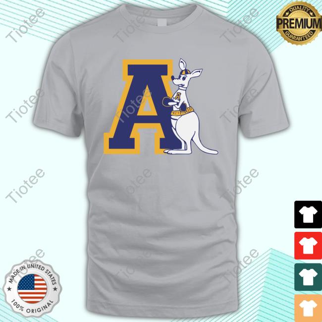 Vintage Akron Zips T Shirt