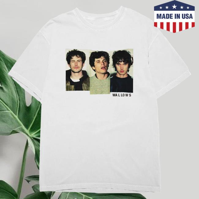 Official Wallows Merch Shop 'Model' Album Hoodie