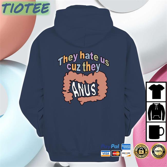 They Hate Us Cuz They Anus Hoodie