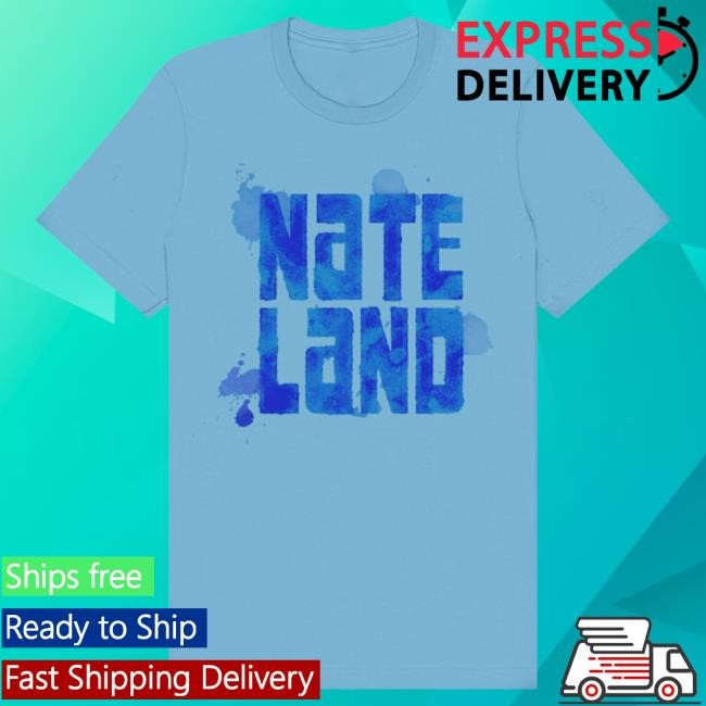 Official Nate Bargatze Merch Waterink Mark Hot Shirt