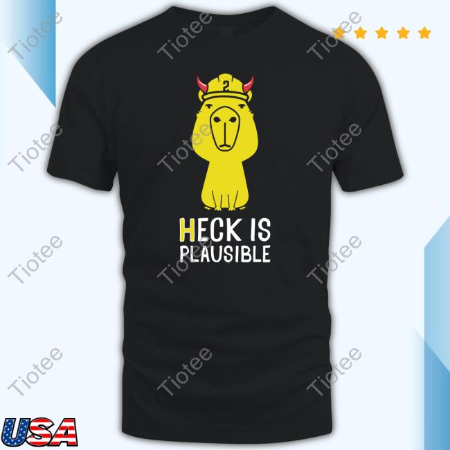Heck Is Plausible 2023 T Shirts