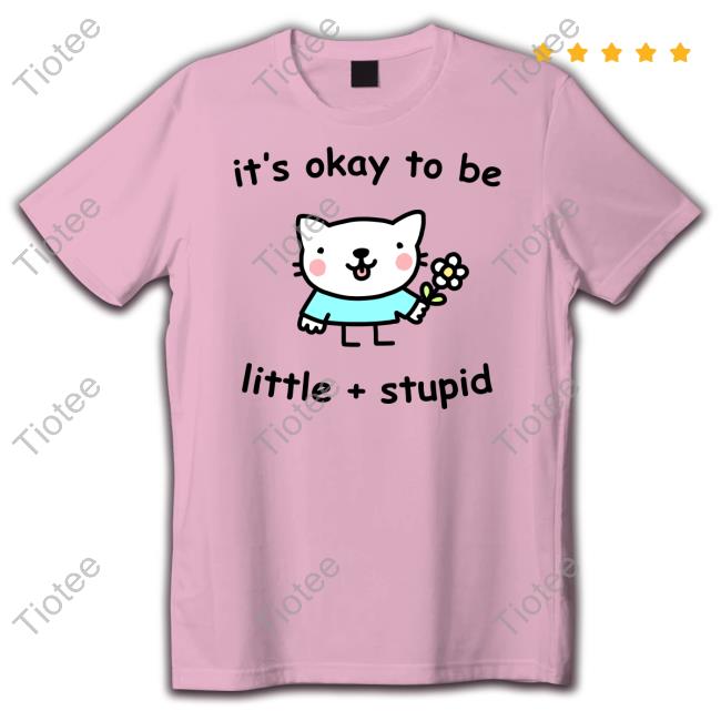 Stinky Katie Merch It's Okay To Be Little And Stupid T Shirts