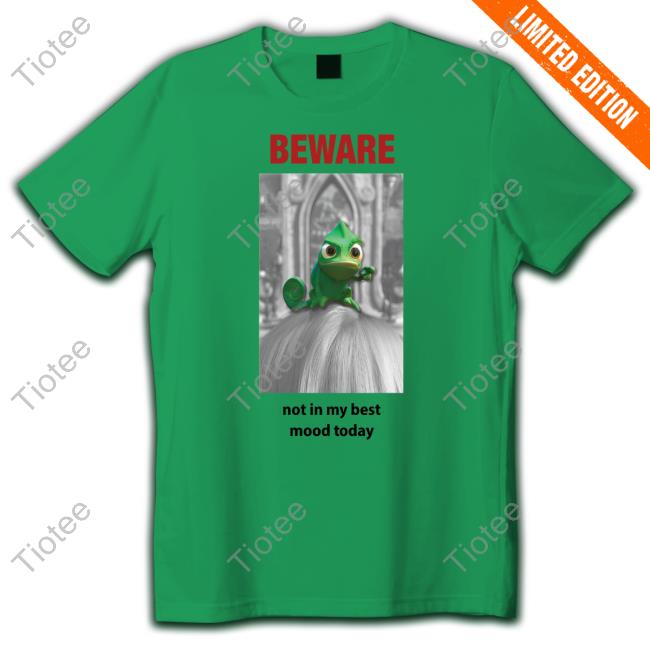 Ebgames Beware Not In My Best Mood Today Shirt