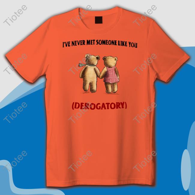 I've Never Met Someone Like You Derogatory Hoodie
