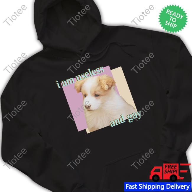 Dogecore Store Useless And Gay Long Sleeve T Shirt