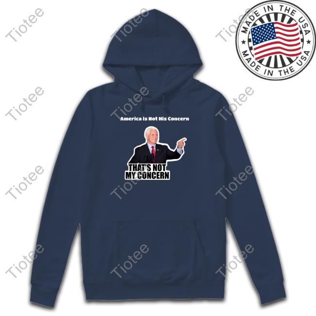 FemalesForTrump America Is Not His Concern That's Not My Concern Hoodie