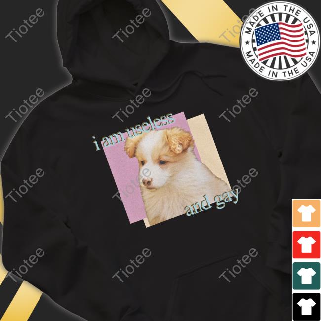 Shirts That Go Hard Dogecore Merch I Am Useless And Gay T-Shirt