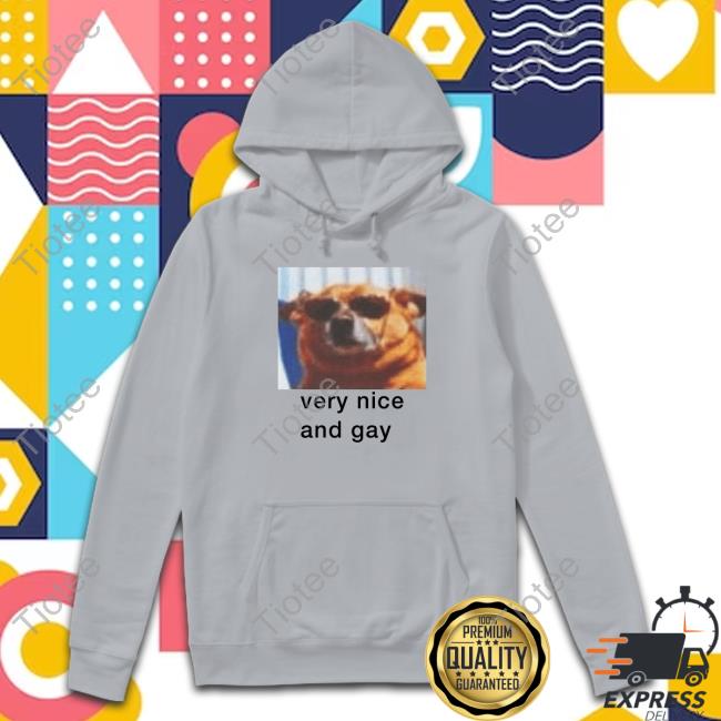 Official Very Nice And Gay Tee Shirt Official Dogecore Very Nice And Gay Shirts