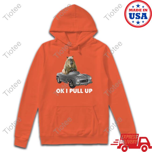 Capybara Car T Shirt Capy Man Car Hoodie