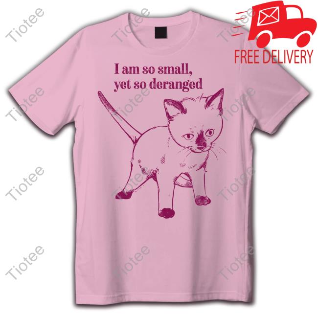 Cat I Am So Small Yet So Deranged Sweatshirt