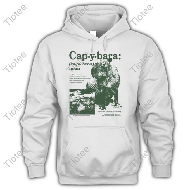 Capybaraman Shop Capybara Noun Defined Sweatshirt