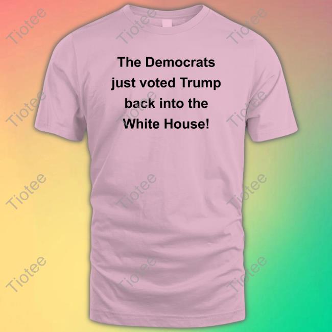 Maga Patriot David The Democrats Just Voted Trump Back Into The White House Hoodies