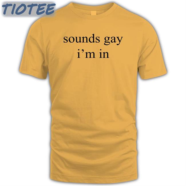 Shirts That Go Hard Sounds Gay I'm In Tee Shirt