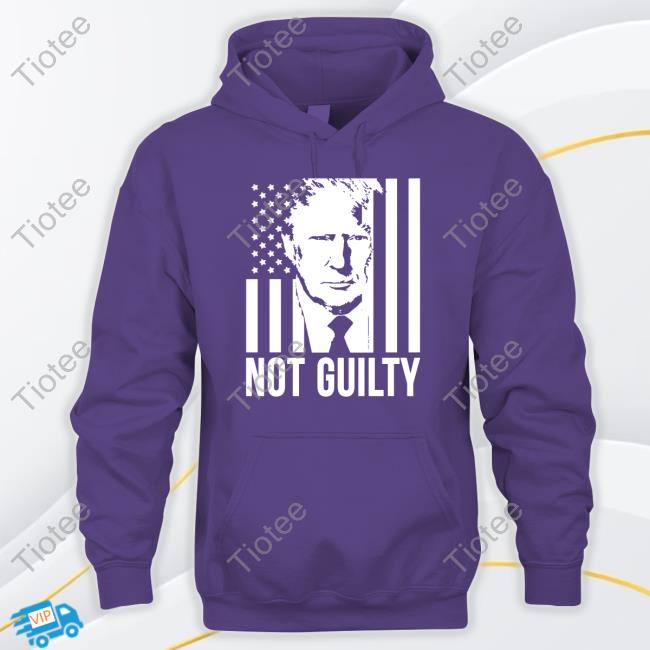 Official Officialhodgetwins Merch Trump Not Guilty Flag T Shirt