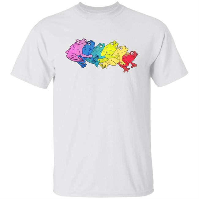 Internet Comment Etiquette Rainbow Gay Frog Shirt