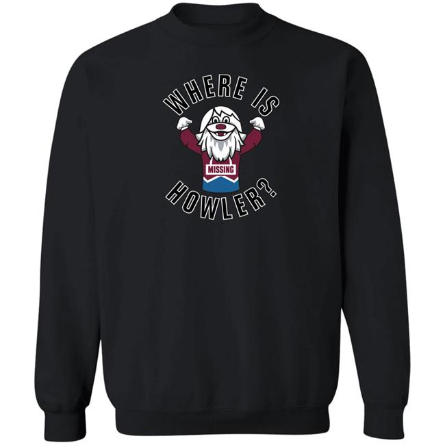 Deco Apparel Co Merch The Missing Mascot Where Is Howler Shirt