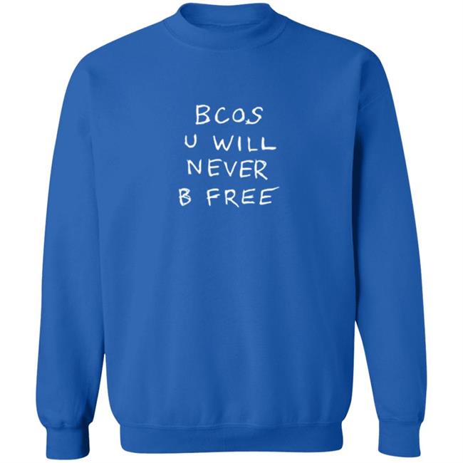 Rex Orange County Merch Bcos Tee Shirt Rex Orange County Merch Bcos Tee Shirt