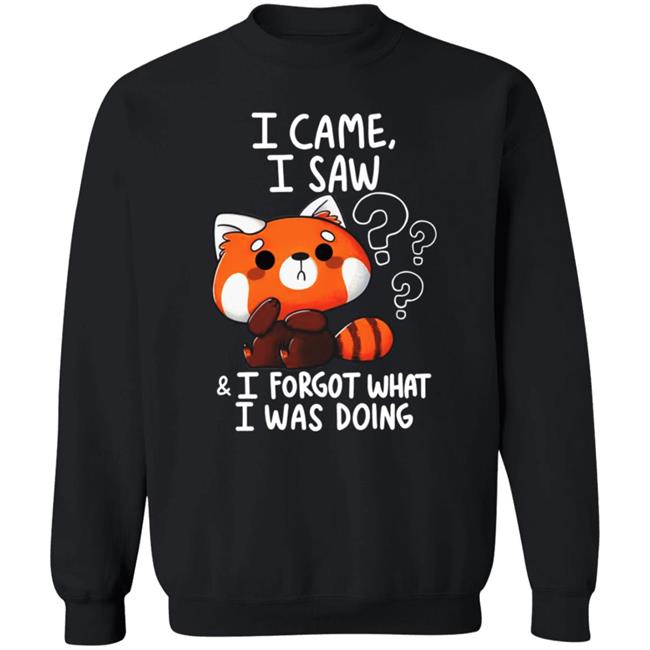 Vaxxedfaery I Came I Saw I Forgot What I Was Doing Raccoon Shirt Vaxxedfaery I Came I Saw I Forgot What I Was Doing Raccoon Shirt