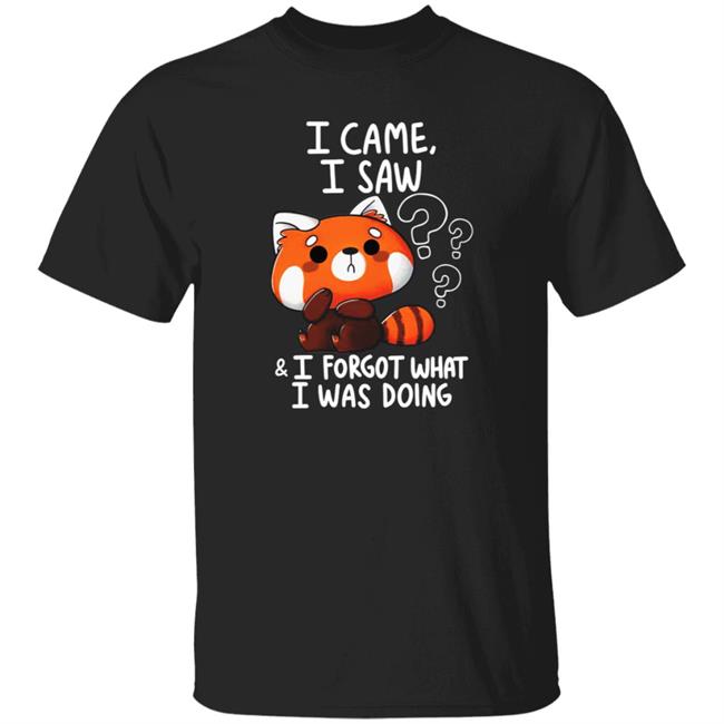 Vaxxedfaery I Came I Saw I Forgot What I Was Doing Raccoon Shirt Vaxxedfaery I Came I Saw I Forgot What I Was Doing Raccoon Shirt