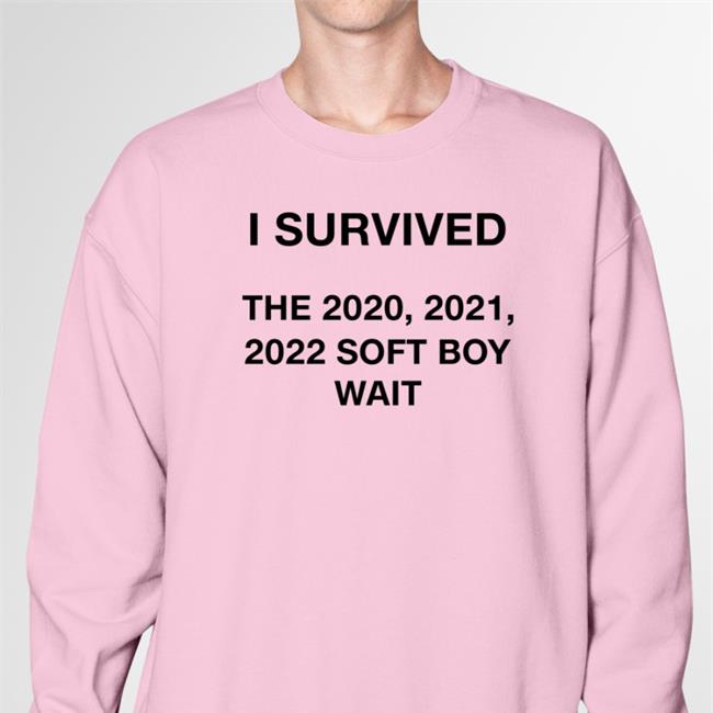 Dirtycrimegiri I Survived The 2020 2021 2022 Soft Boy Wait Tee Shirt Marmar