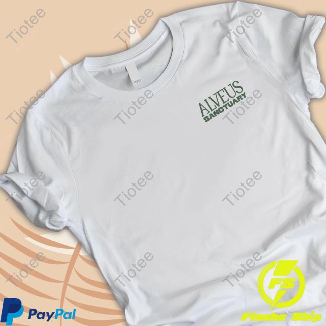 Alveus Sancatuary Merch Take Care Hoodie
