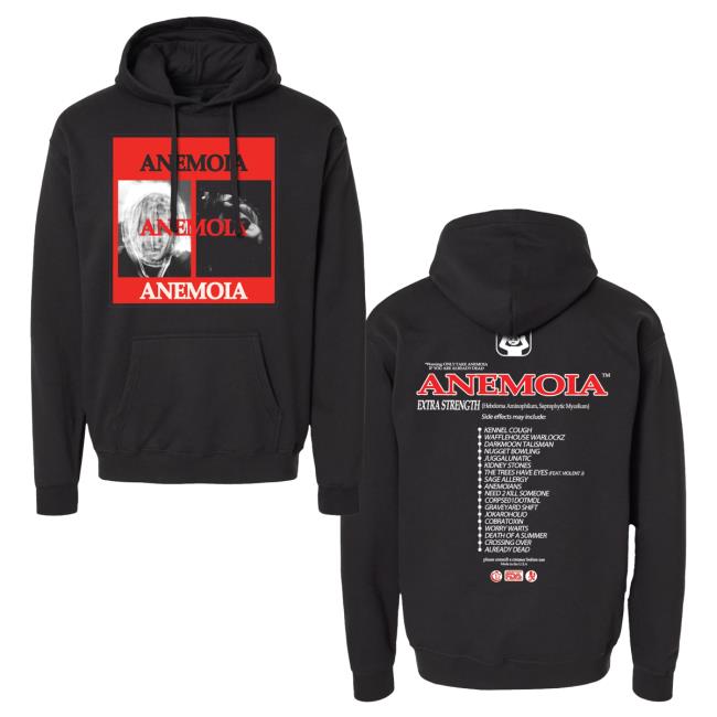 Official Chapter 17 Records Merch Store Shop Anemoia - Album Cover Shirt New - Black Chapter17Records