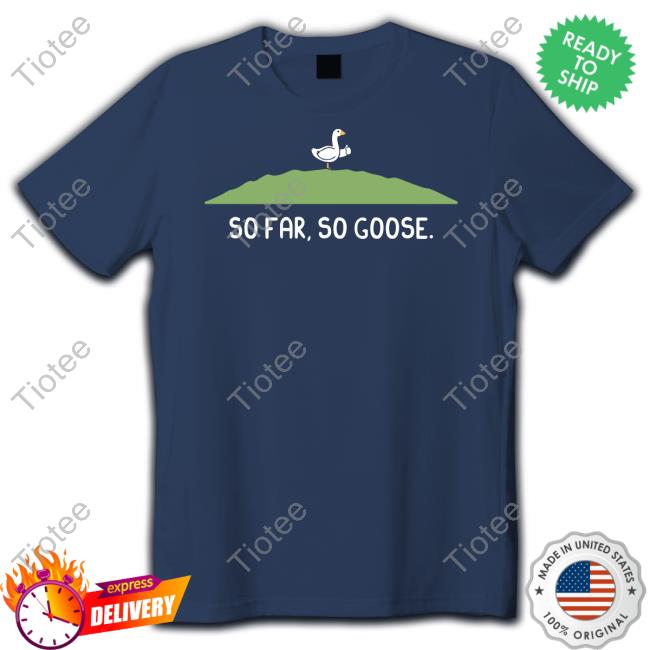 Handsoffmydinosaur Shop So Far So Goose Tee Shirt