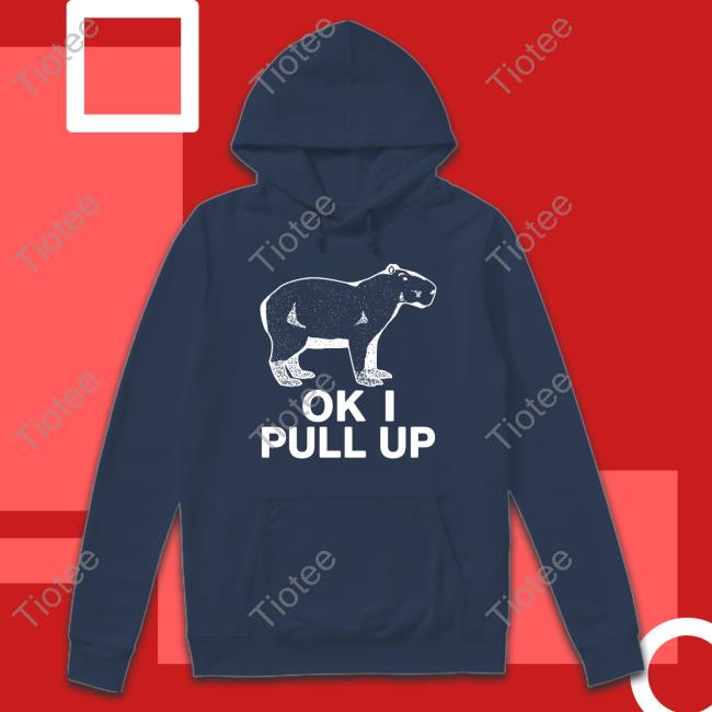 Capybaraman Ok I Pull Up Sweatshirt