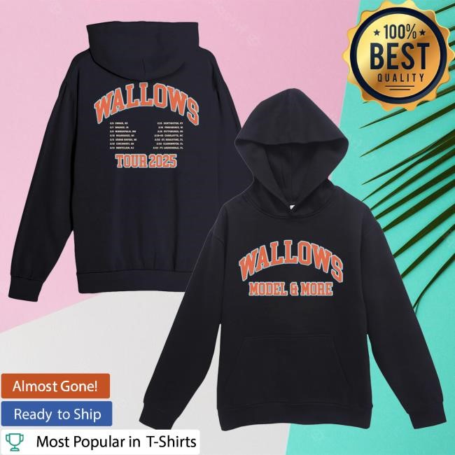 Official Wallows Store Collegiate Hooded Sweatshirt – February 2025