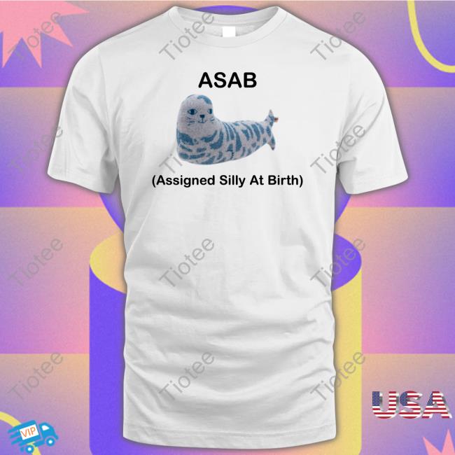 Aly Asab Assigned Silly At Birth Long Sleeve Tee Shirt Picckl